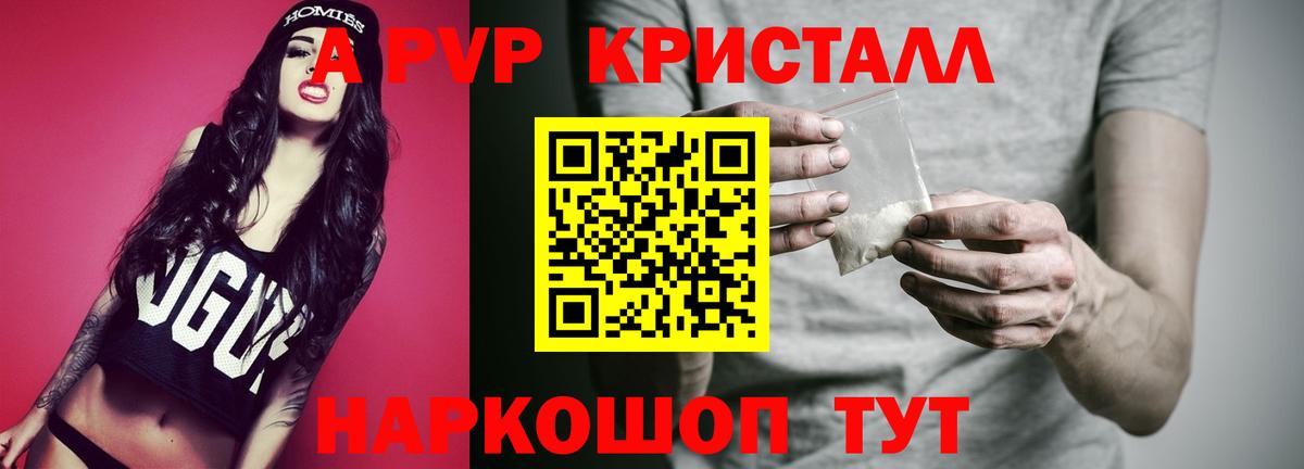 Альфа ПВП СК КРИС Буйнакск