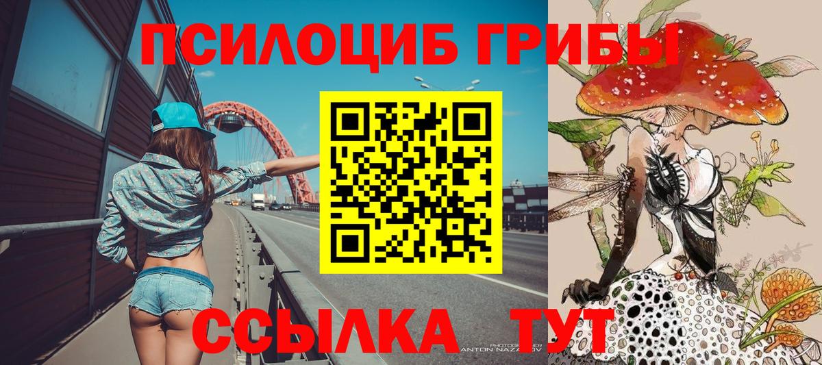 Псилоцибиновые грибы мицелий Буйнакск