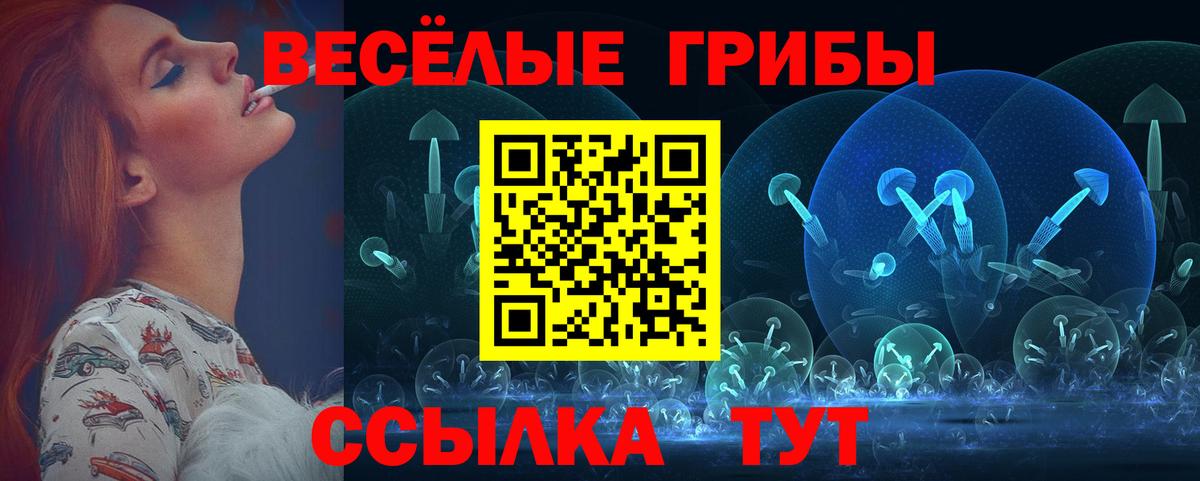Буйнакск  Псилоцибиновые грибы ЛСД  Вход с VPN 